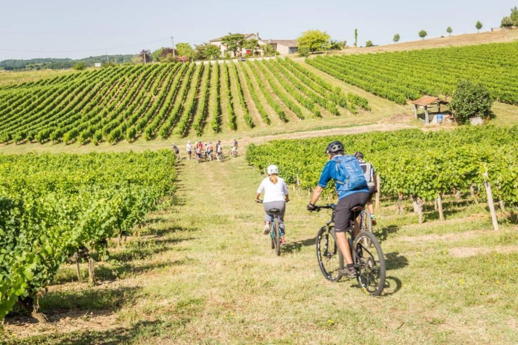 Domaine De La Durantie Duplex Vieux Chateau 卡斯特尔诺-德蒙特米尔 外观 照片