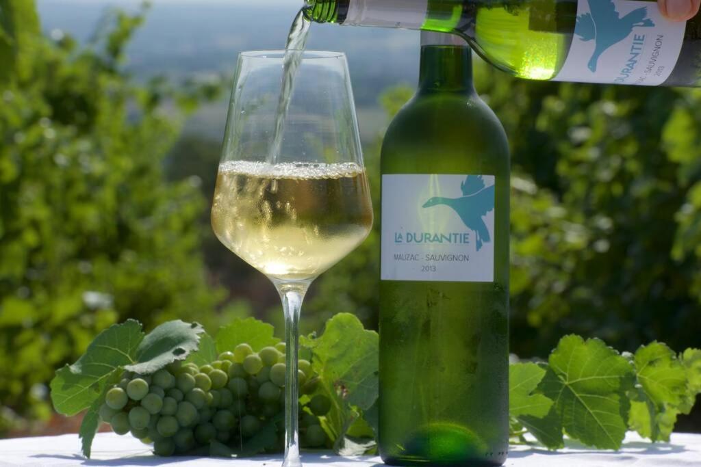 Domaine De La Durantie Duplex Vieux Chateau 卡斯特尔诺-德蒙特米尔 外观 照片