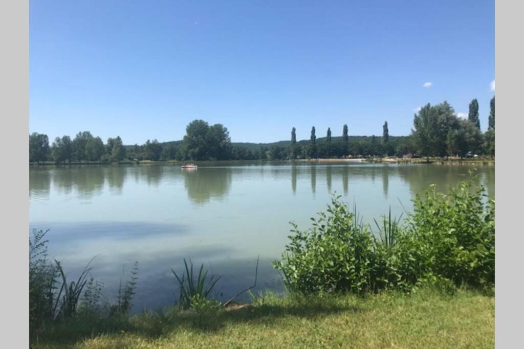 Domaine De La Durantie Duplex Vieux Chateau 卡斯特尔诺-德蒙特米尔 外观 照片